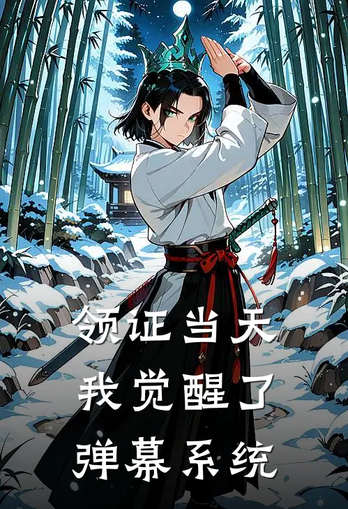 领证当天，我觉醒了弹幕系统